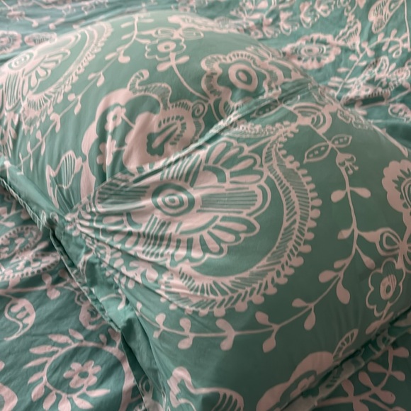 Pottery Barn full size duvet, cover and matching sham - Picture 4 of 6
